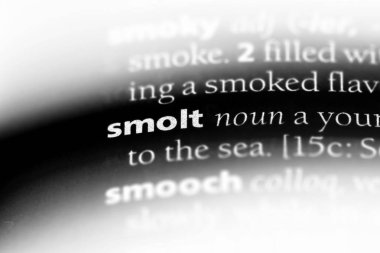 smolt sözcük sözlüğe. smolt kavramı.