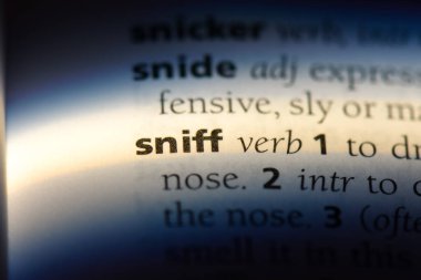 bir sözlüğü'ndeki sözcüğü kokla. kavram burnunu çekmek.