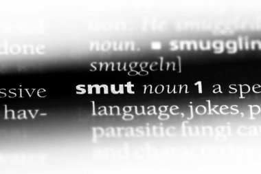 bir sözlüğü'ndeki sözcüğü kızartılır. kurum kavramı.