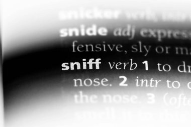 bir sözlüğü'ndeki sözcüğü kokla. kavram burnunu çekmek.