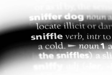 burun çekme Word'de bir sözlük. burun çekme kavramı.