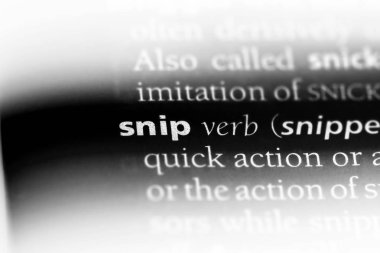 sözcük sözlükte makasla kesme. ekran alıntısına kavram.