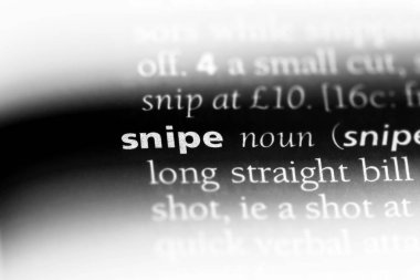 bir sözlüğü'ndeki 