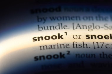 bir sözlüğü'ndeki Snook sözcüğü. Snook kavramı.