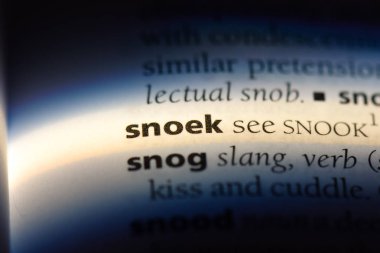 Sözlükte tuhaf bir kelime. snoek konsepti.