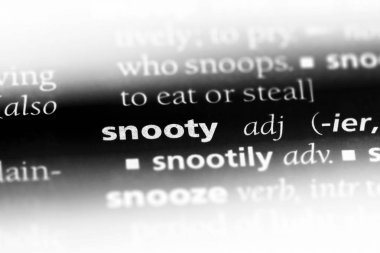 kibirli tek kelimeyle bir sözlük. kibirli kavramı.