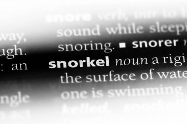 şnorkel Word'de bir sözlük. şnorkel kavramı.