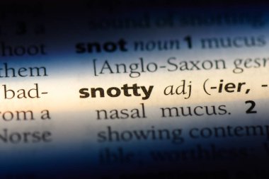 sümüklü tek kelimeyle bir sözlük. sümüklü kavramı.