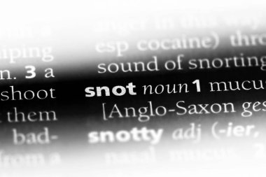 sümük Word'de bir sözlük. sümük kavramı.