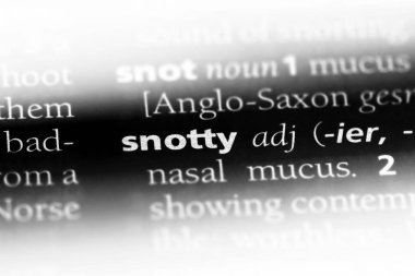 sümüklü tek kelimeyle bir sözlük. sümüklü kavramı.