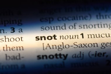 sümük Word'de bir sözlük. sümük kavramı.