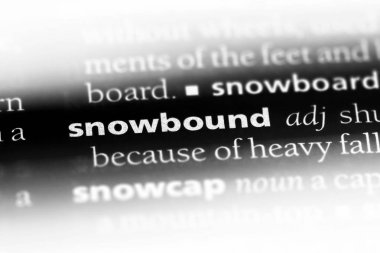 grubunu tek kelimeyle bir sözlük. grubunu kavramı.