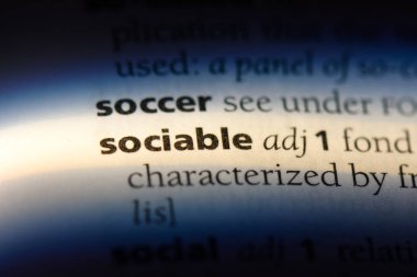 bir sözlüğü'ndeki sosyal sözcüğü. sürmeli kavramı.