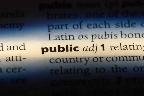 Public Word Dictionary Public Concept — Stock Photo, Image