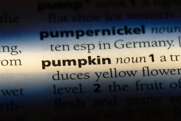 Pumpa Ordet Ordbok Pumpa Konceptet — Stockfoto