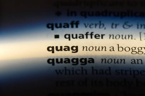 Quag Szó Szótárba Quag Koncepció — Stock Fotó