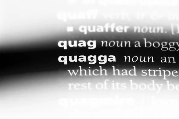 Quagga Słowo Słowniku Quagga Koncepcja — Zdjęcie stockowe