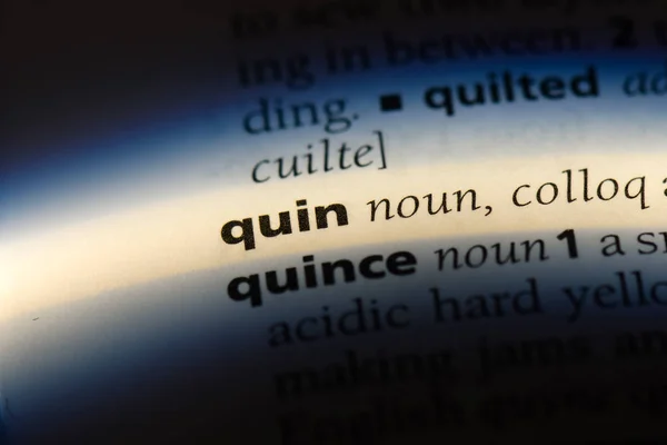 Quin Slovo Slovníku Quin Koncept — Stock fotografie