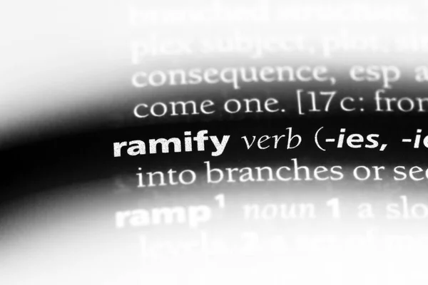 Ramify Słowo Słowniku Ramify Koncepcja — Zdjęcie stockowe