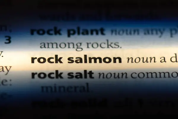 Palavra Salmão Rock Dicionário Conceito Salmão Rocha — Fotografia de Stock