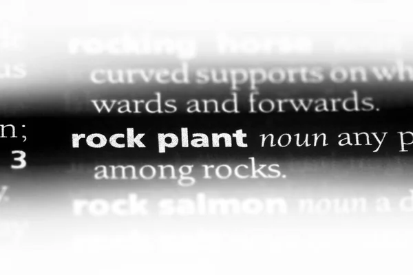 Rośliny Skalne Słowo Słowniku Koncepcja Roślin Rock — Zdjęcie stockowe