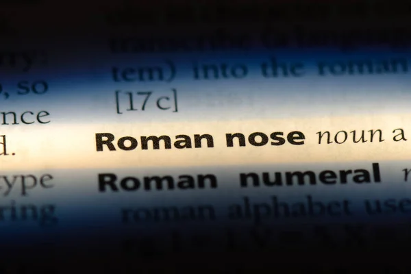 roman nose word in a dictionary. roman nose concept.