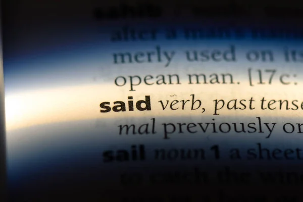 Said Word Dictionary Said Concept — Stock Photo, Image
