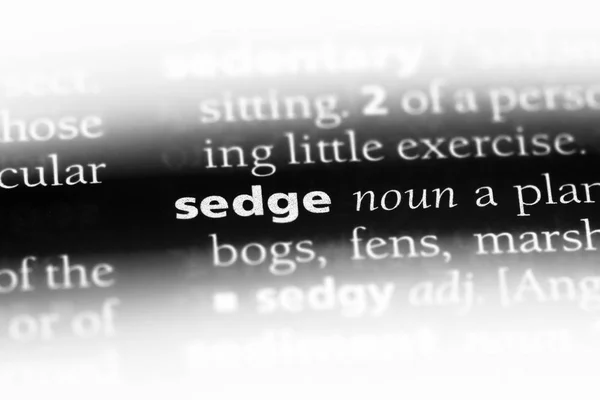 Sedge Word Diccionario Concepto Sedge — Foto de Stock