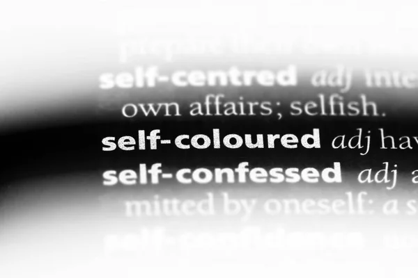 Self Coloured Word Dictionary Self Coloured Concept — Stock Photo, Image