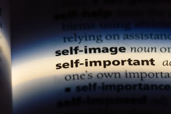 字典中的自我重要单词 自我重要概念 — 图库照片
