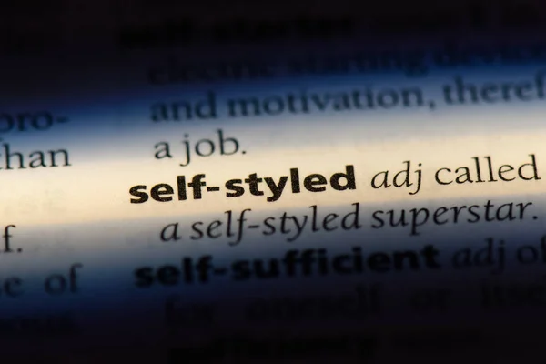 Self Styled Word Dictionary Self Styled Concept — Stock Photo, Image