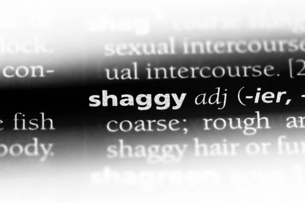 Shaggy Słowo Słowniku Koncepcja Kudłaty — Zdjęcie stockowe