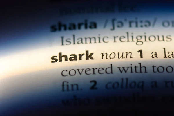Palavra Tubarão Num Dicionário Conceito Tubarão — Fotografia de Stock