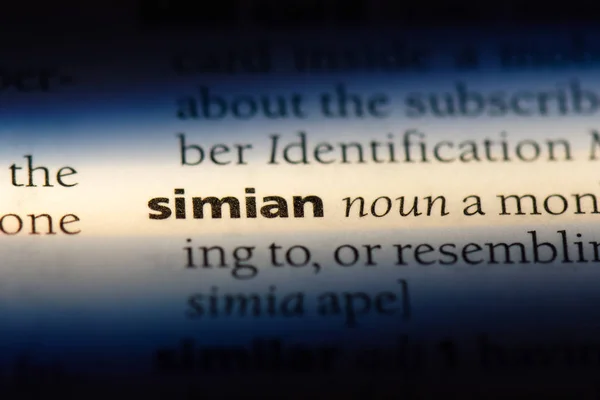 Simian Słowo Słowniku Simian Koncepcja — Zdjęcie stockowe