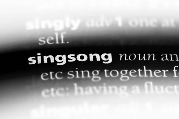 Singsong Word Dictionary Singsong Concept — Stock Photo, Image