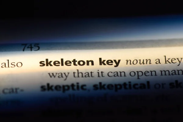 skeleton key word in a dictionary. skeleton key concept.