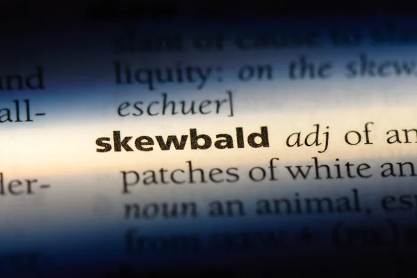 Skewbald 词典中的单词 Skewbald — 图库照片