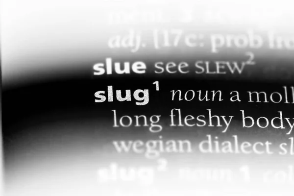 Slug Ord Ordbok Slug Koncept — Stockfoto