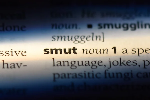 사전에 단어를 Smut — 스톡 사진