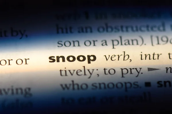 Snoop Word Dictionary Snoop Concept — Stock Photo, Image