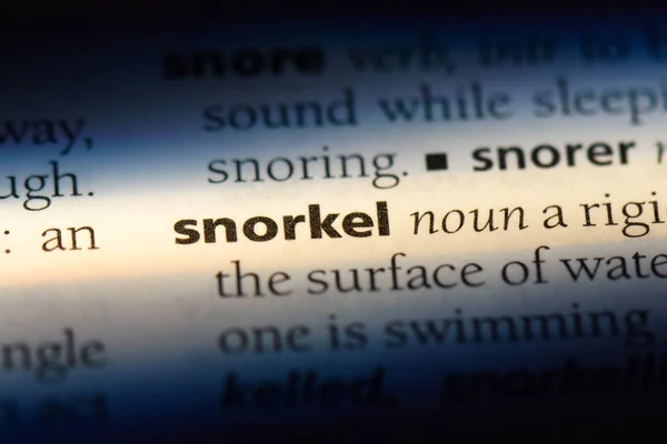 Palabra Snorkel Diccionario Concepto Snorkel —  Fotos de Stock