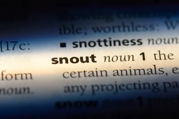 Snout Word Dictionary Snout Concept — Stock Photo, Image