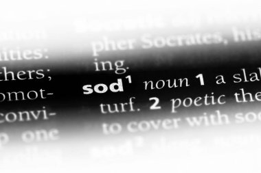 bir sözlük Word'de git. SOD kavramı.