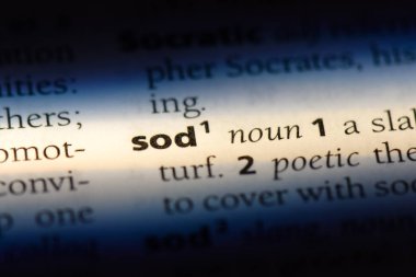bir sözlük Word'de git. SOD kavramı.