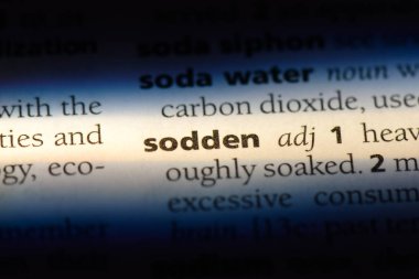 bir sözlüğü'ndeki sırılsıklam sözcüğü. sırılsıklam kavramı.