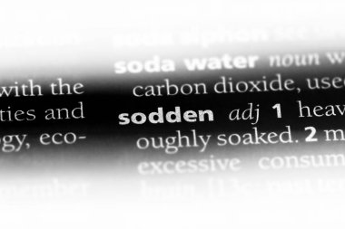 bir sözlüğü'ndeki sırılsıklam sözcüğü. sırılsıklam kavramı.