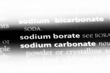 sodyum borat Word'de bir sözlük. sodyum borat kavramı.