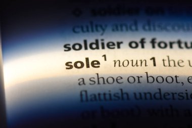 Tek kelimeyle bir sözlük. tek kavram.