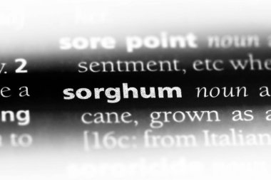 sorgum Word'de bir sözlük. sorgum kavramı.
