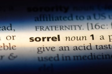 Kuzukulağı tek kelimeyle bir sözlük. Kuzukulağı kavramı.